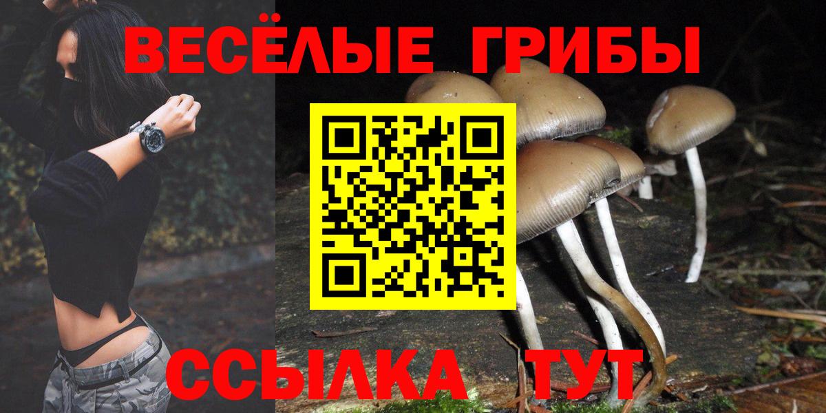 Псилоцибиновые грибы мухоморы Тула